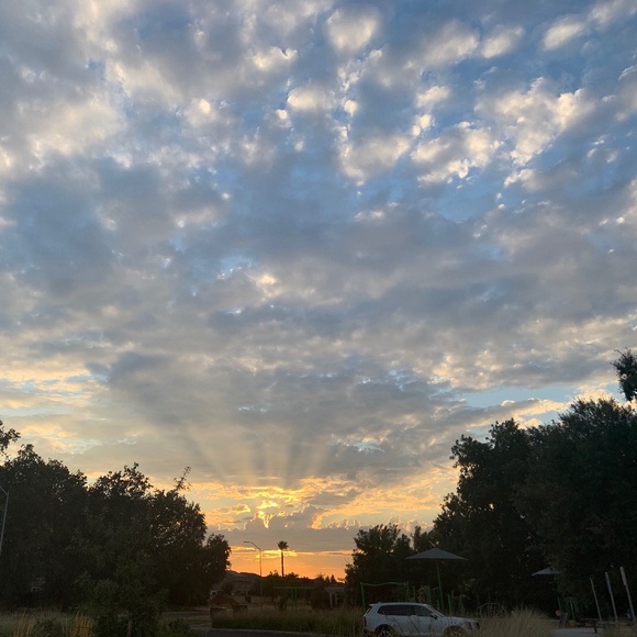 Meet your Posher, Allison - Picture 3 of 9